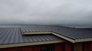 Best Metal Roofing Installation  in Livingston, TX